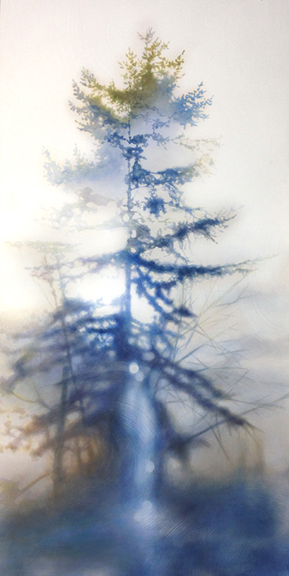 ` Day Moth - 48x24 e