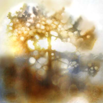 helia painting altered like maq - not so good