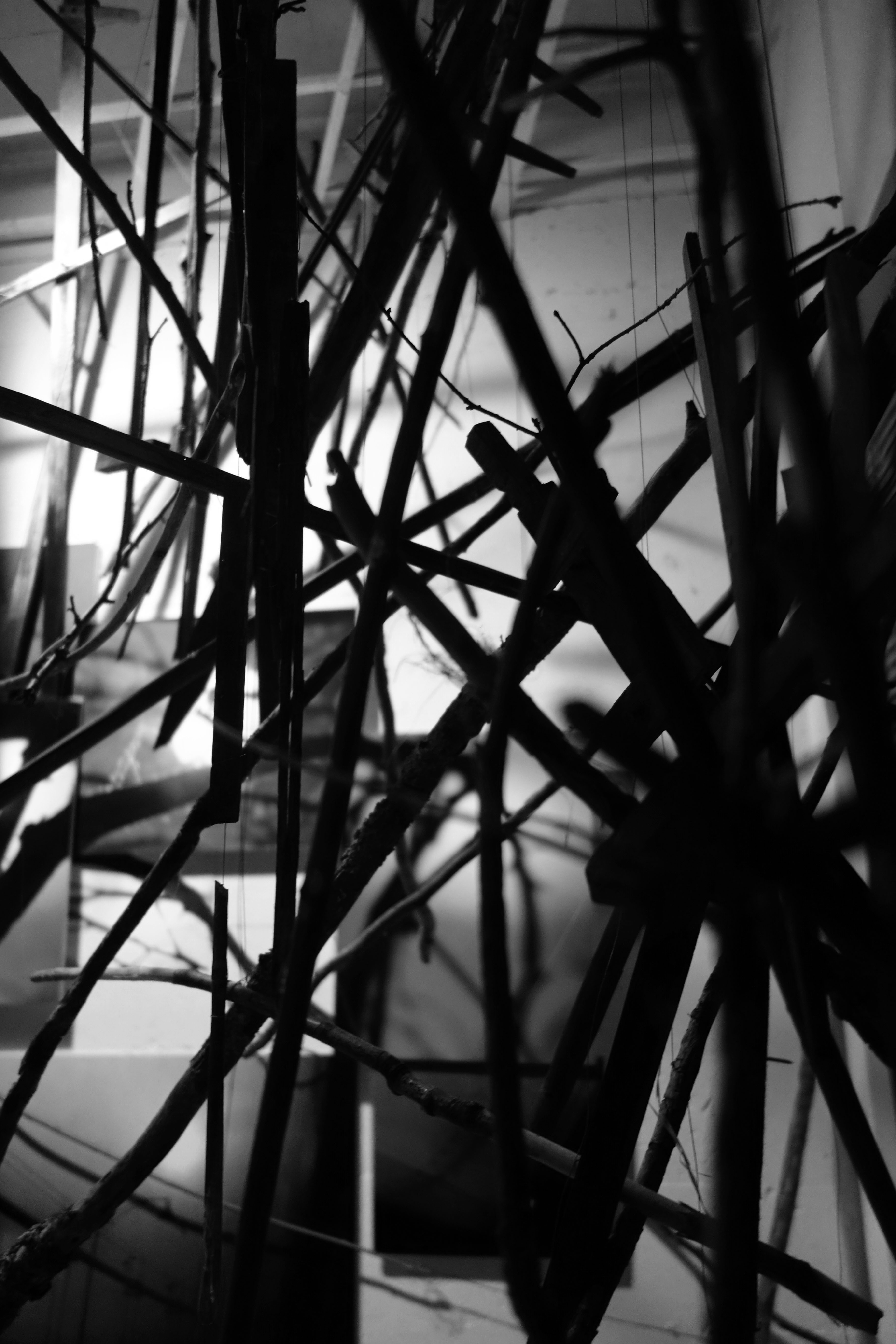 PLEXUS - detail - Installation- G Felde