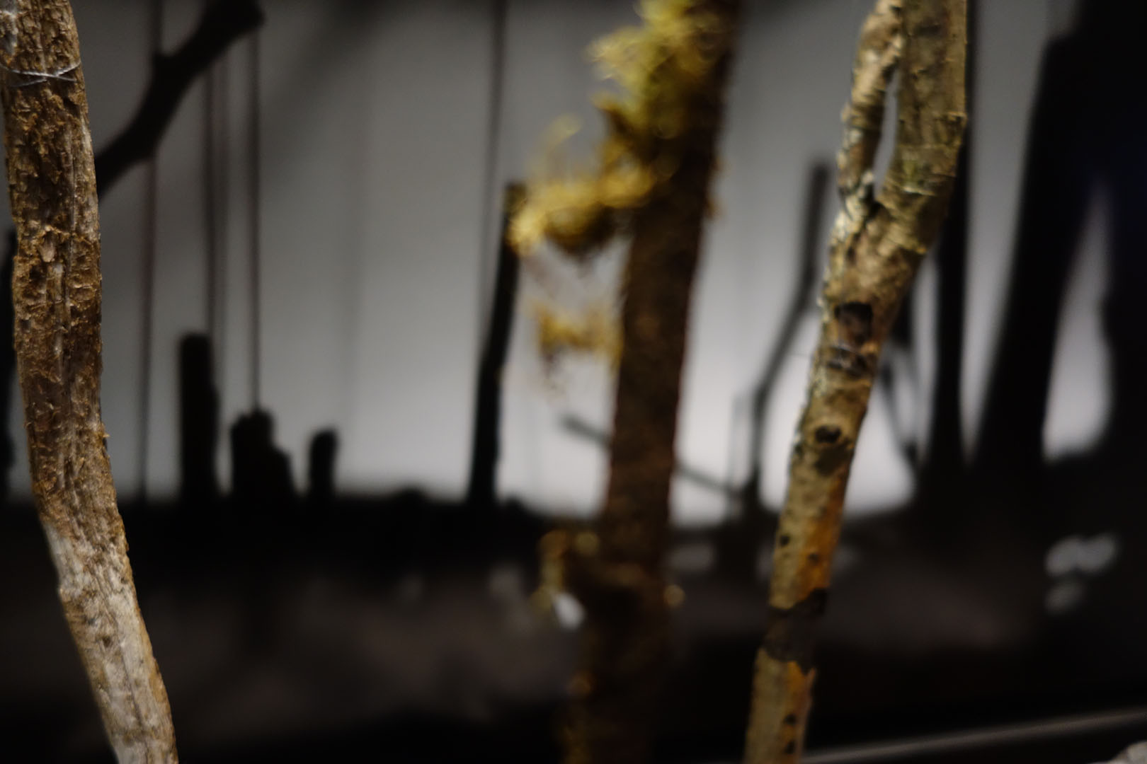 Plexus P3 construction 04 e