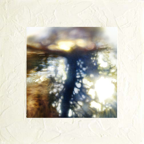 Blue Lark - MM Print