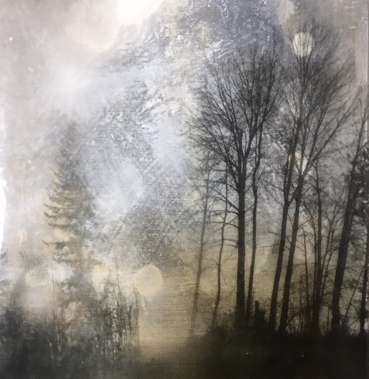 Filament No -47 - 6x6 - MM on panel - sold